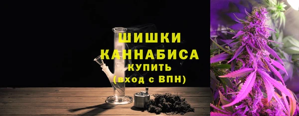 мдпв Зеленодольск