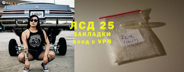 сатива Зерноград