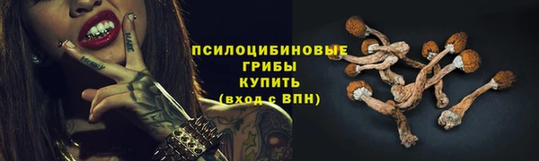 мдпв Зеленодольск