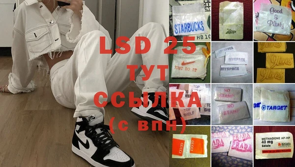 сатива Зерноград