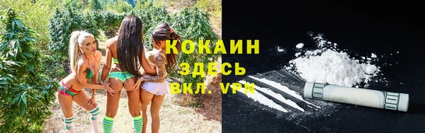 сатива Зерноград