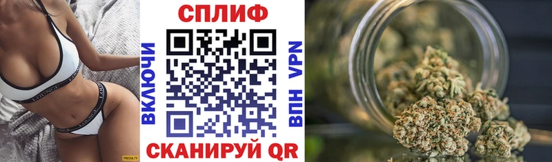 Купить где  Черногорск  Бошки марихуана THC 21% 